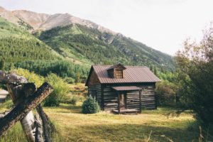 Lire la suite à propos de l’article Comment gérer la présence de termites dans votre maison